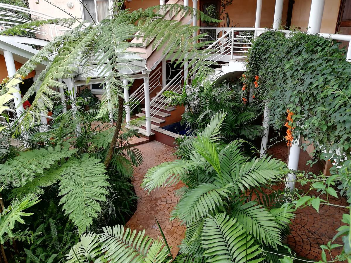 Hotel Ciudad Vieja Guatemala Dış mekan fotoğraf