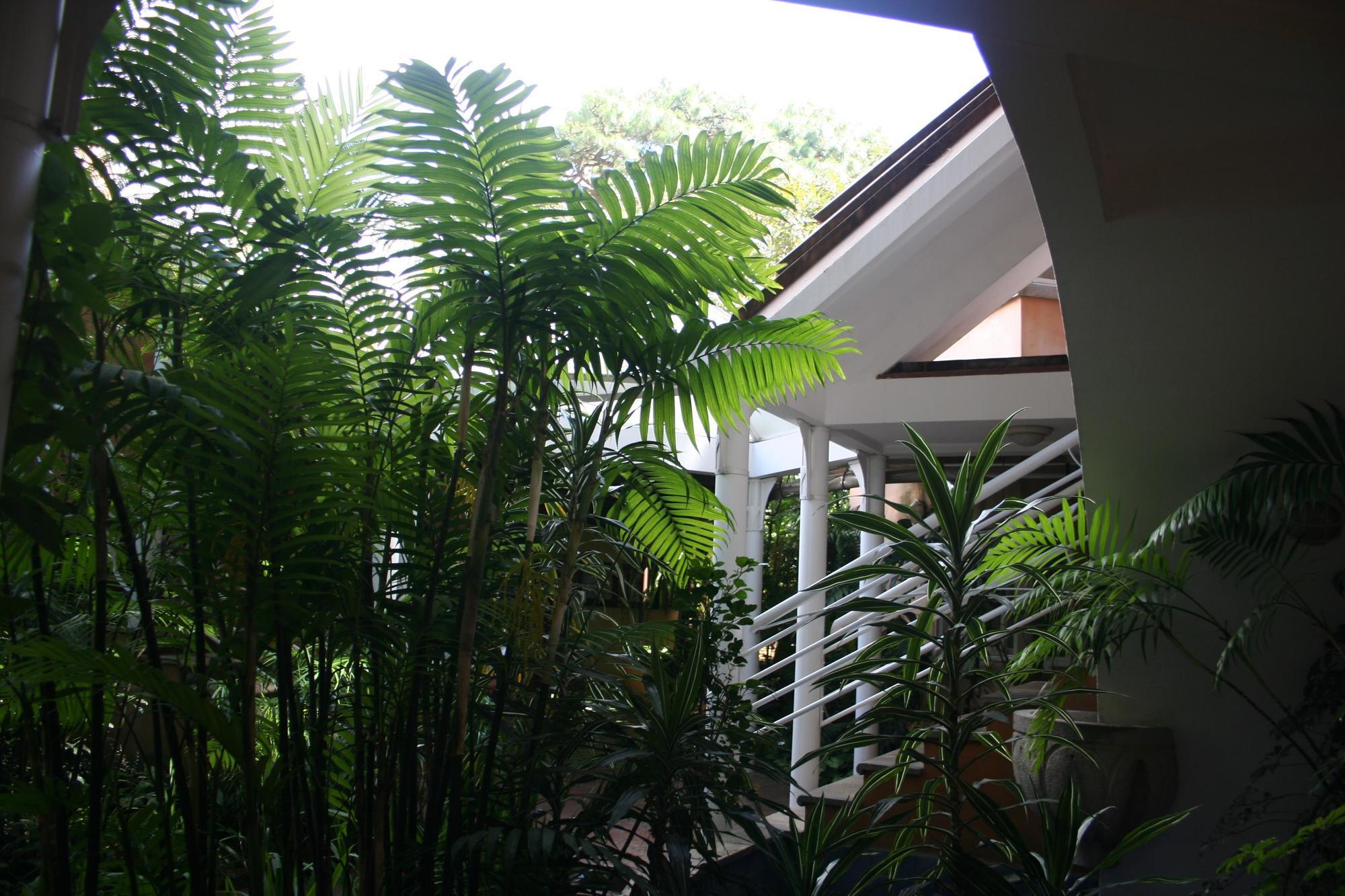 Hotel Ciudad Vieja Guatemala Dış mekan fotoğraf